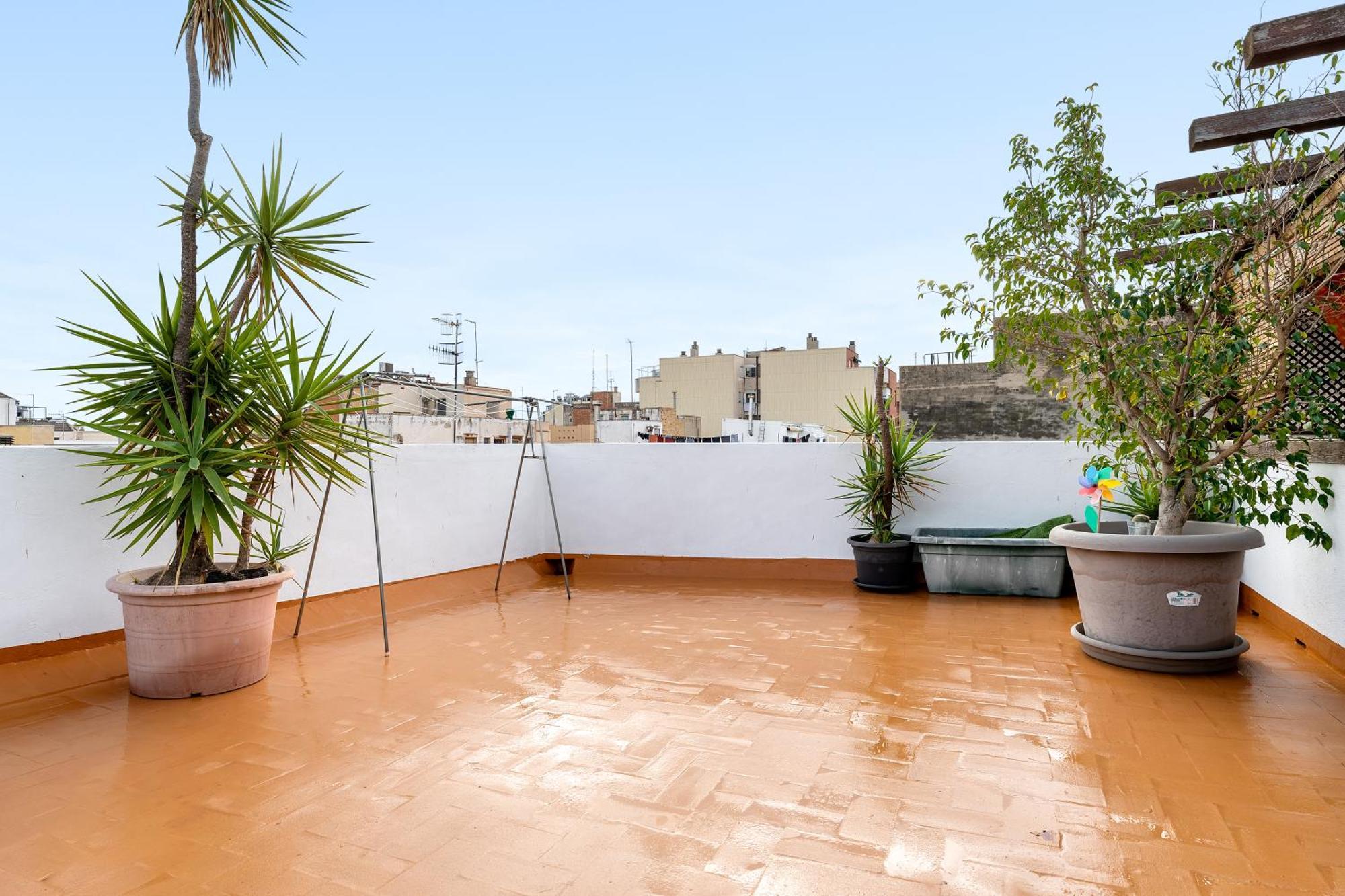 Super Terraza Daire Amposta Dış mekan fotoğraf